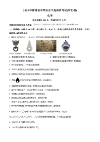 2024年高考真题——化学（河北卷）试题（Word版附答案）