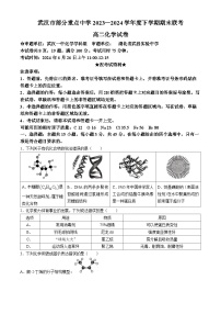 湖北省武汉市部分重点中学2023-2024学年高二下学期期末联考化学试卷(无答案)