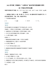 浙江省七彩阳光新高考研究联盟2023-2024学年高二下学期4月期中联考化学试题（Word版附解析）