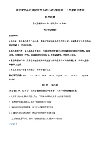 湖北省夷陵中学2022-2023学年高一上学期期中考试化学试题含答案