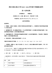 湖北省武汉市部分重点中学联考2023-2024学年高一下学期6月期末考试化学试题