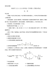 河南省焦作市2023-2024学年高二下学期6月期末考试化学试题（无答案）