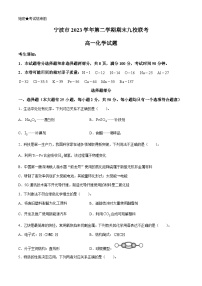 浙江省宁波市九校2023-2024学年高一下学期6月期末考试化学试题（含答案）