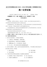 湖北省武汉市常青联合体2023-2024学年高一下学期期末考试化学试卷（PDF版含答案）