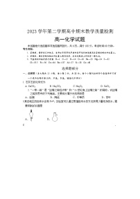 浙江省绍兴市2023-2024学年高一下学期期末调测化学试题（含答案）