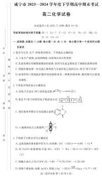 湖北咸宁市2024年高二下学期期末考试化学试题+答案