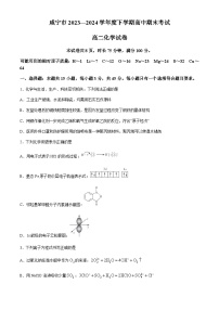 湖北省咸宁市2023-2024学年高二下学期期末考试化学试题（含解析）