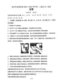 2024郑州外国语高一上学期第一次月考化学试卷及答案