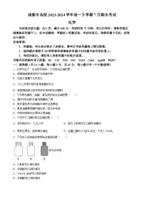 四川省成都市名校2023-2024学年高一下学期7月期末考试化学试题（含答案）