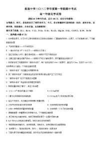 2023-2024学年上海市格致中学高一上学期期中考试化学试卷含详解