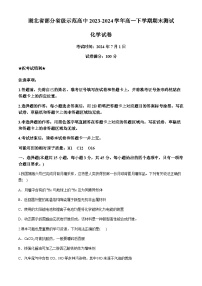 湖北省部分省级示范高中2023-2024学年高一下学期期末测试化学试题（含答案）