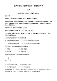 四川省宜宾市2023-2024学年高二下学期期末考试化学试题（含答案）
