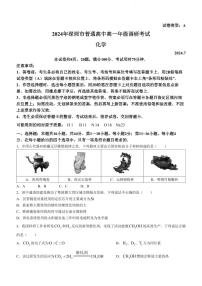 广东深圳市2024年高一下学期期末调研考试化学试题+答案