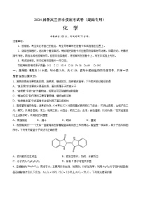 2024届新高三开学摸底考试卷 化学试题（湖南专用）