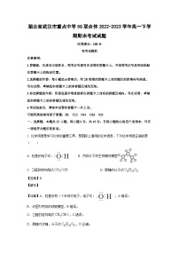 [化学][期末]湖北省武汉市重点中学5G联合体2022-2023学年高一下学期期末考试试题(解析版)