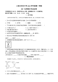 上海市洋泾中学  2023-2024学年第一学期高一化学期末考试试卷