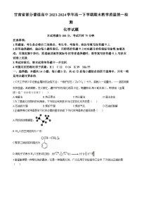 甘肃省部分普通高中2023-2024学年高一下学期期末教学质量统一检测化学试题（含答案）