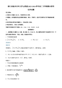 浙江省温州市环大罗山联盟2023-2024学年高二下学期期末联考化学试卷（Word版附解析）