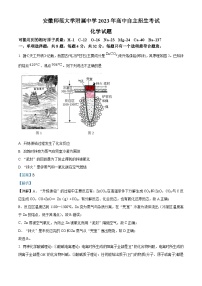 安徽省师范大学附属中学2023-2024学年高一上学期自主招生考试化学试题（Word版附解析）