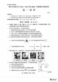 贵州省贵阳市2023-2024学年高一下学期期末考试化学试卷