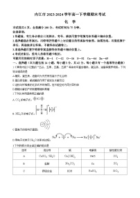 四川省内江市2023-2024学年高一下学期期末考试化学试题（含答案）