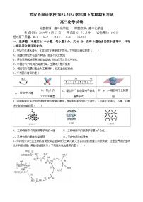 2024武汉外国语学校高二下学期期末考试化学试卷含答案