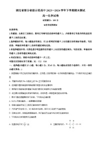 湖北省部分省级示范高中2023-2024学年高一下学期期末测试化学试卷（Word版附解析）