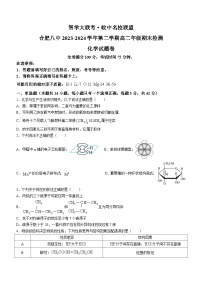 安徽省智学大联考·皖中名校联盟 合肥市第八中学2023-2024学年高二下学期期末检测化学试题(无答案)