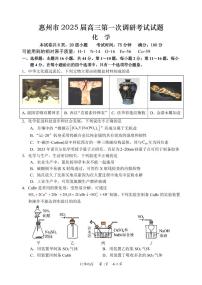 化学-广东省惠州市2025届高三第一次调研考试暨惠州高二期末考试【含答案】