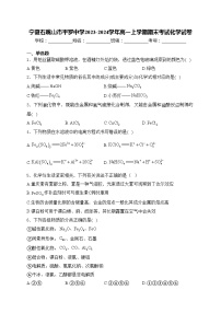 宁夏石嘴山市平罗中学2023-2024学年高一上学期期末考试化学试卷(含答案)