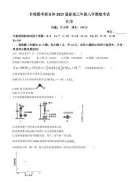 湖南名校联考联合体2025届新高三入学摸底考试化学试题+答案