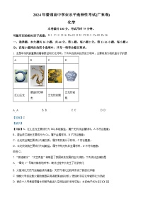 2024年高考真题——化学（广东卷）试卷（Word版附解析）