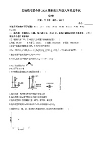 湖南名校联考联合体2025届新高三上学期入学摸底考试化学试卷（Word版附答案）