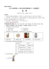 2024年秋季高一入学分班考试模拟卷化学试题+答案