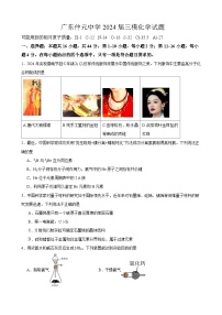 广东省仲元中学2024届高三下学期三模化学试题（有解析）