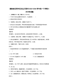 [化学]湖南省岳阳市岳汨五月联考2023-2024学年高一下学期5月月考试题(解析版)