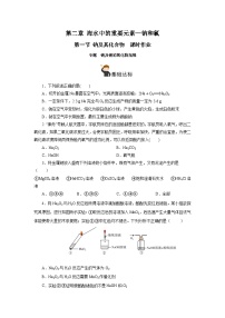 人教版 (2019)必修 第一册第一节 钠及其化合物优秀课后测评