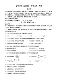 四川省泸州市2023-2024学年高一下学期7月期末考试化学试卷（Word版附解析）