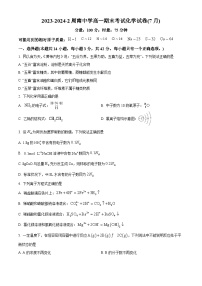 湖南省长沙市周南中学2023-2024学年高一下学期期末考试化学试卷（Word版附解析）