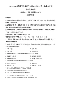 湖北省武汉市重点中学5G联合体2023-2024学年高一下学期期末考试化学试卷（Word版附解析）