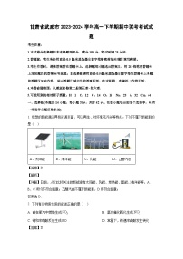 [化学][期中]甘肃省武威市2023-2024学年高一下学期期中联考考试试题(解析版)