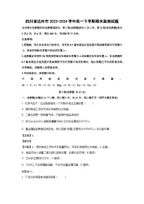 [化学][期末]四川省达州市2023-2024学年高一下学期期末监测试题(解析版)