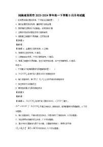 [化学]河南省洛阳市2023-2024学年高一下学期5月月考试题(解析版)