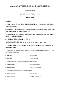 湖北省武汉市重点中学5G联合体2023-2024学年高一下学期期末考试化学试卷（含答案）