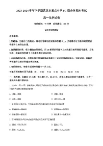 湖北省武汉市重点中学5G联合体2023-2024学年高一下学期期末考试化学试卷（含答案）