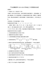 [化学][期末]广东省肇庆市2023-2024学年高二下学期期末考试