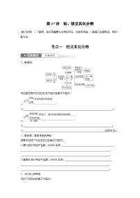 2025年高考化学一轮复习讲义（新高考版）第4章 第17讲　铝、镁及其化合物