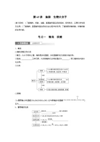 2025年高考化学一轮复习讲义（新高考版）第10章 第65讲　油脂　生物大分子