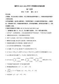 河南省漯河市2023-2024学年高二下学期期末考试化学试题（Word版附解析）