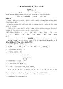 浙江省第二届辛愉杯2025届高三上学期线上模拟考试化学试题+答案